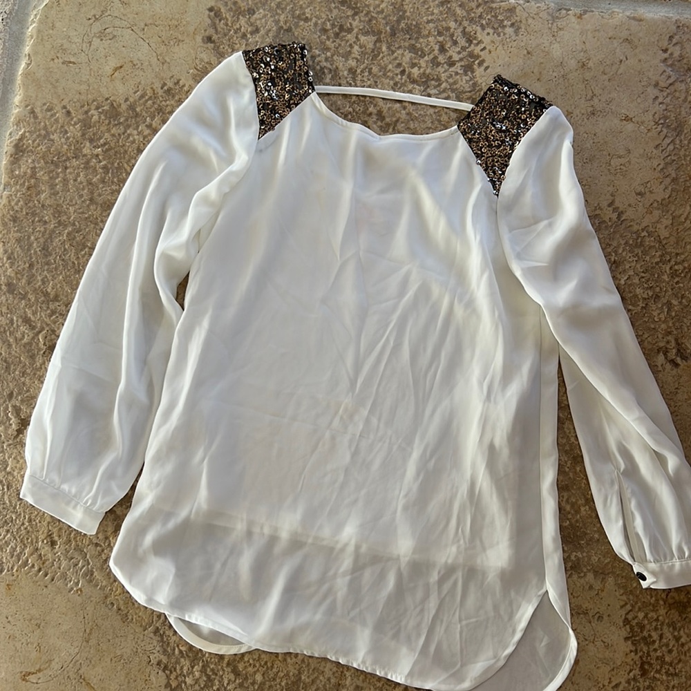 Blouse, dressy festive blouse